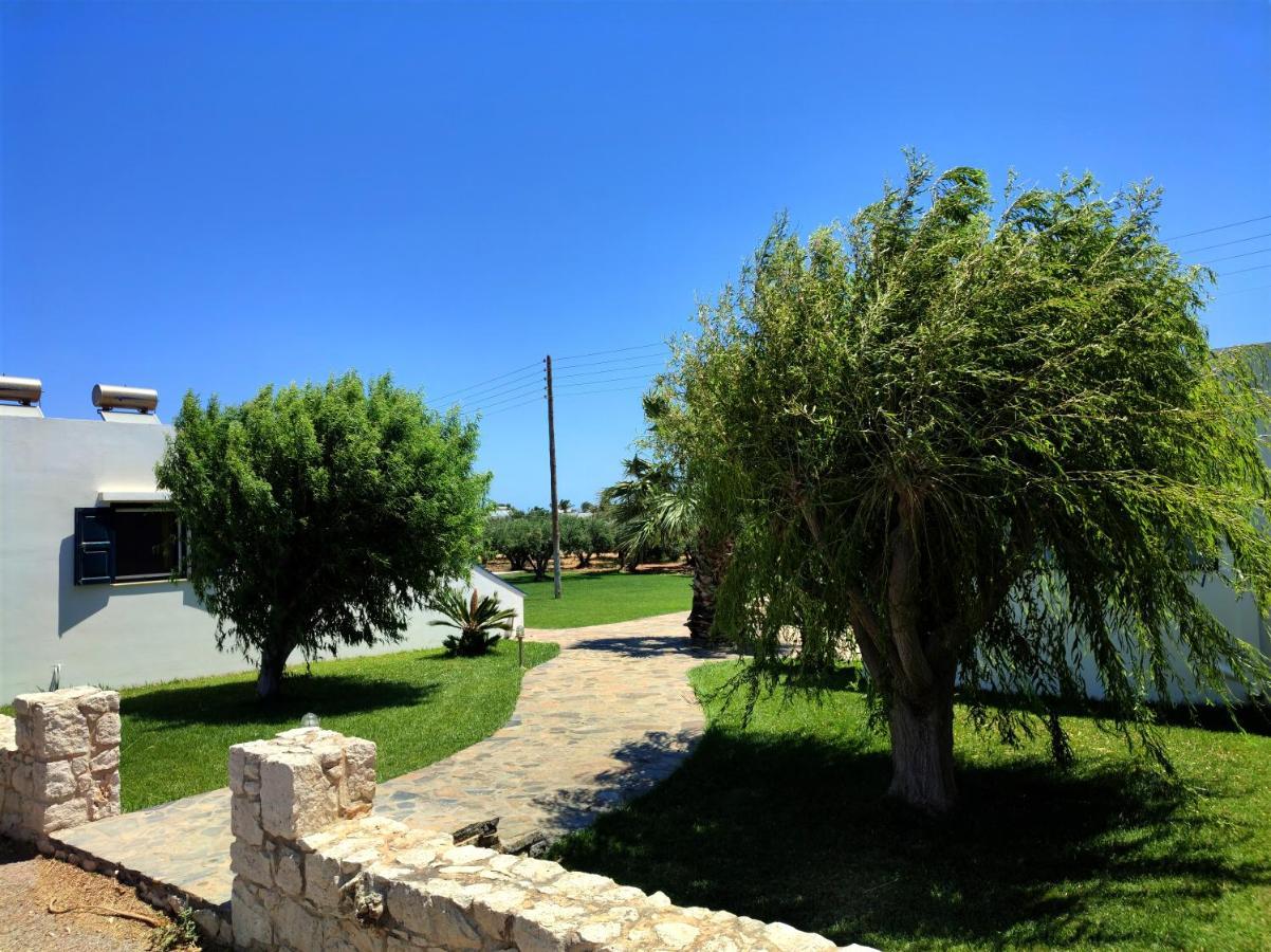 Fotini Apartments Palekastro Exteriér fotografie